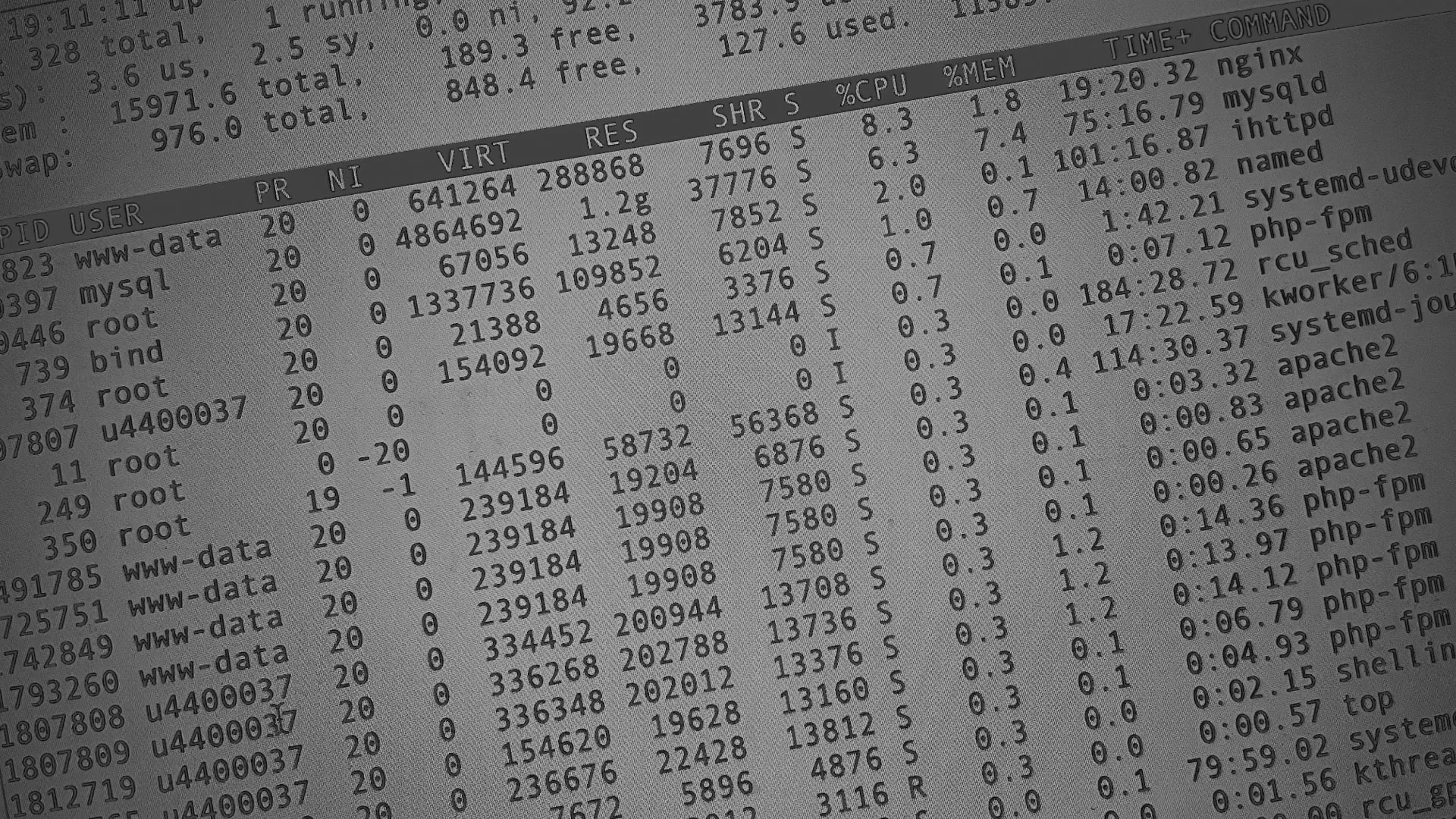 Настройка сервера в Лениногорске