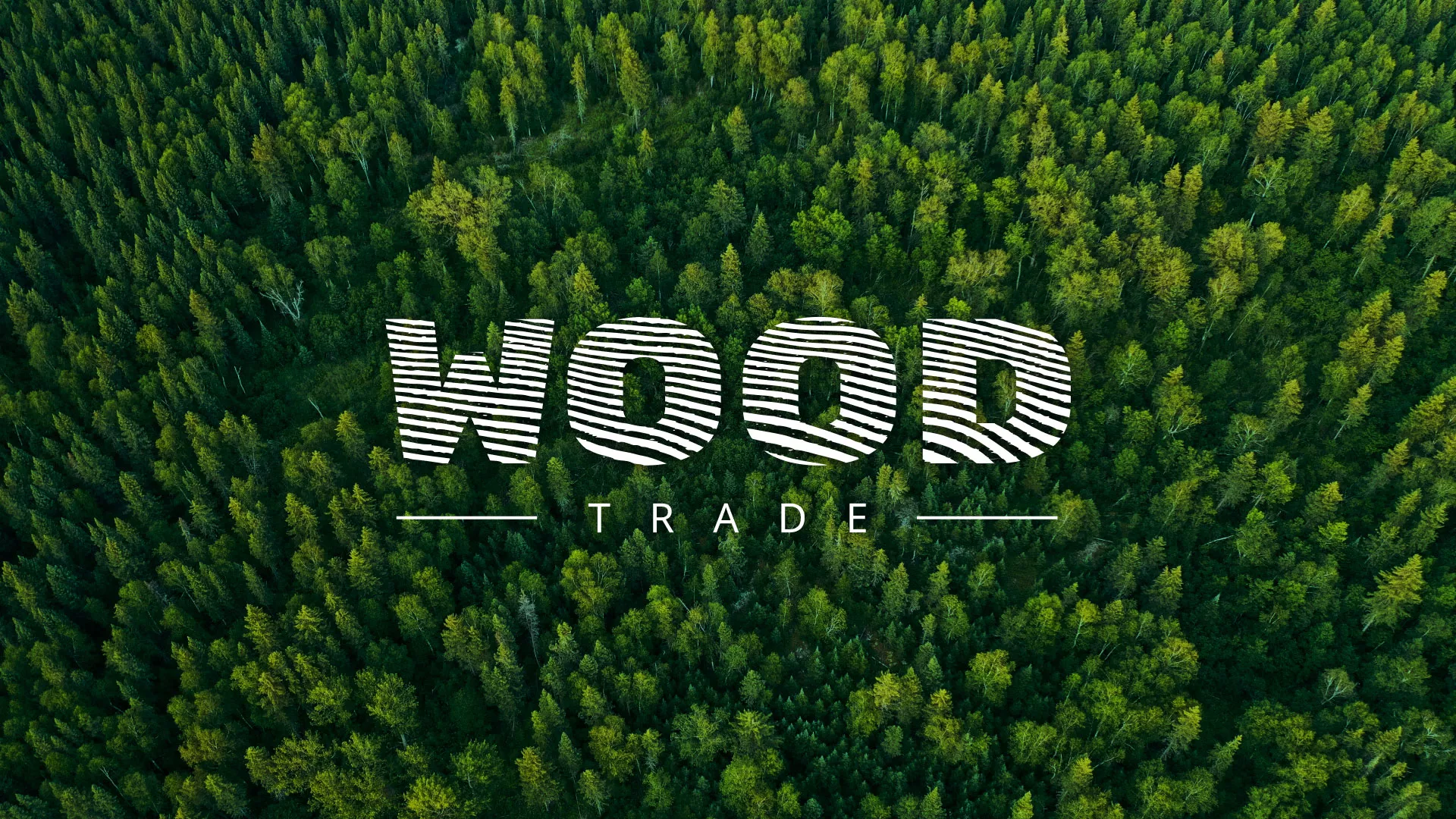 Разработка интернет-магазина компании «Wood Trade» в Лениногорске